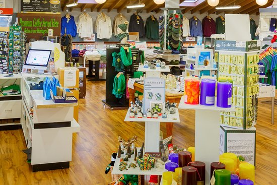 Explore Creative and Affordable Finds at a Gift Store NZ