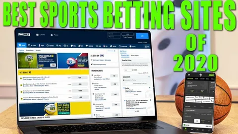 A Complete Comparison of the Leading Betting Sites in UAE