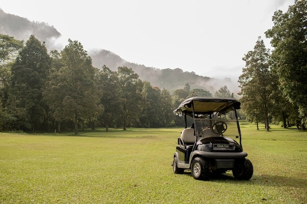 How to Choose the Best Golf Cart Rental Service